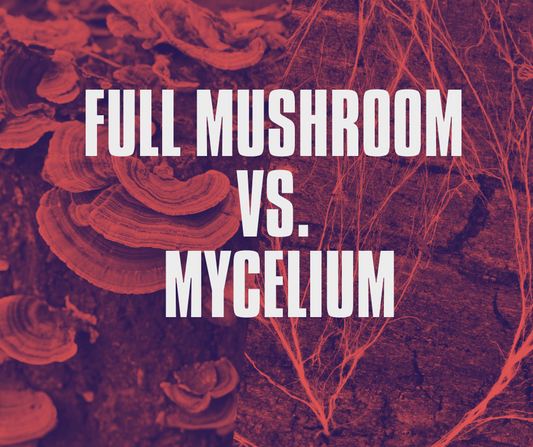 Full Mushroom vs. Mycelium extract. Gaia's Superfoods. Blog Post. Health and Benefits.
