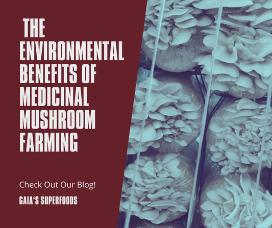 The Environmental Benefits of Cultivating Medicinal Mushrooms