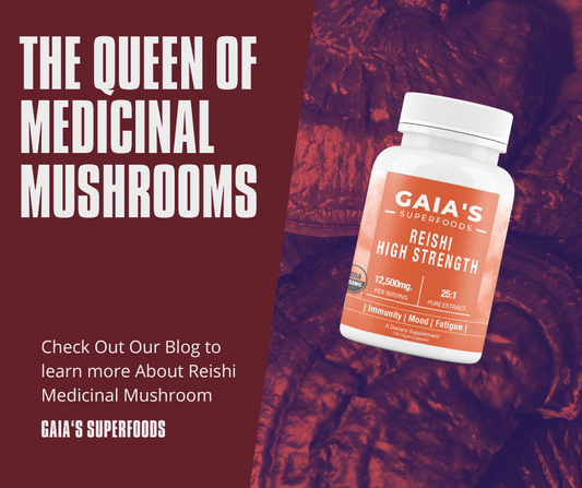 Spotlight on Reishi: The Queen of Medicinal Mushrooms