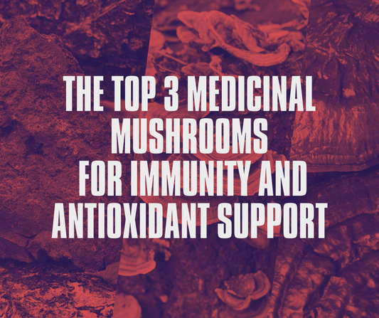 Turkey Tail, Chaga, Reishi, Top Mushroom, Top 3 Medicinal Mushroom, Best Mushroom for your health With Gaia's Superfoods