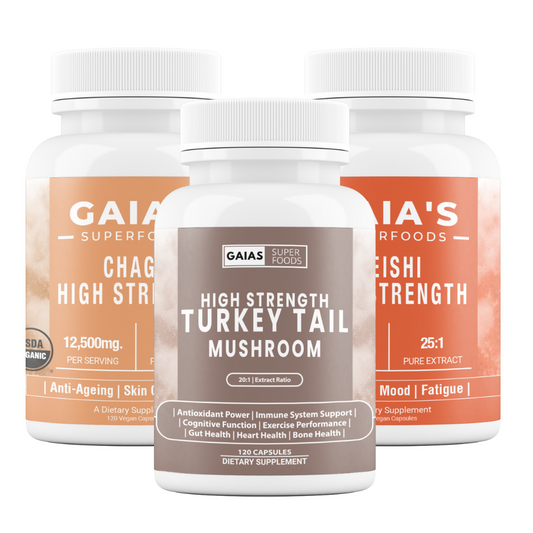 Reshi ,Chaga, Turkey Tail | Immunity and Antioxidant Support | Bundle