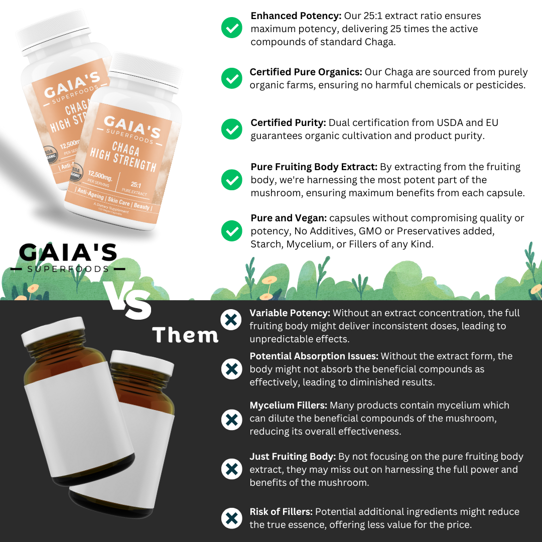 Chaga Mushroom | Extract | 120 Capsules - Gaia's Superfoods