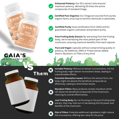 Chaga Mushroom | Extract | 120 Capsules - Gaia's Superfoods