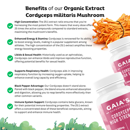 Cordyceps Mushroom | Extract | 120 Capsules - Gaia's Superfoods